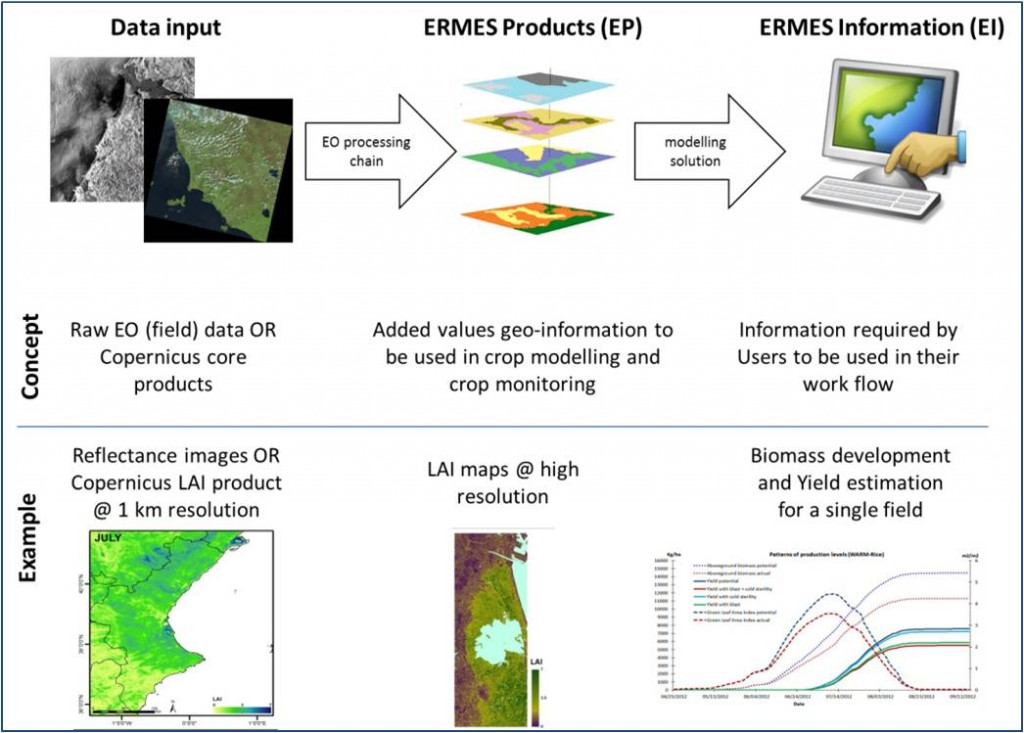 In this Figure you find a sketch of the data information flow in ERMES is shown. EO data are processed together with in field observation or measurements to produce ERMES Products. These maps are then used as input for crop modeling to generate ERMES information.