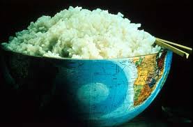 rice_world
