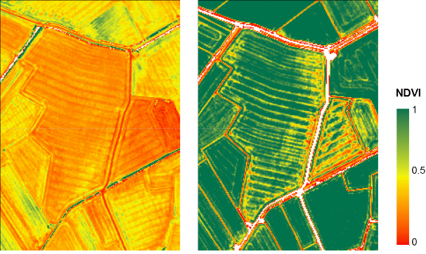 An example of NDVI map presented to the Spanish farmers during last 21st July ERMES meeting. These are two high resolution NDVI maps taken from the WorldView-02 images of 5th June (left) and 8th July (right), clipped on one Albufera end-user’s fields. The index is sensitive to the green biomass on field. 