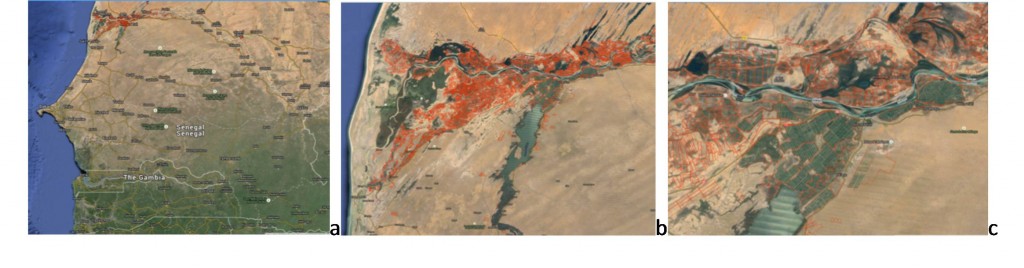 Senegal River Valley systems (Senegal and Mauritania) (a), red polygons represent areas equipped with irrigation infrastructure by 2014 (AfricaRice), a zoom in the North west part in Senegal Saint-Lois region (b) and (c) a detail of the intensive irrigated systems close to the Lac de Guiers.